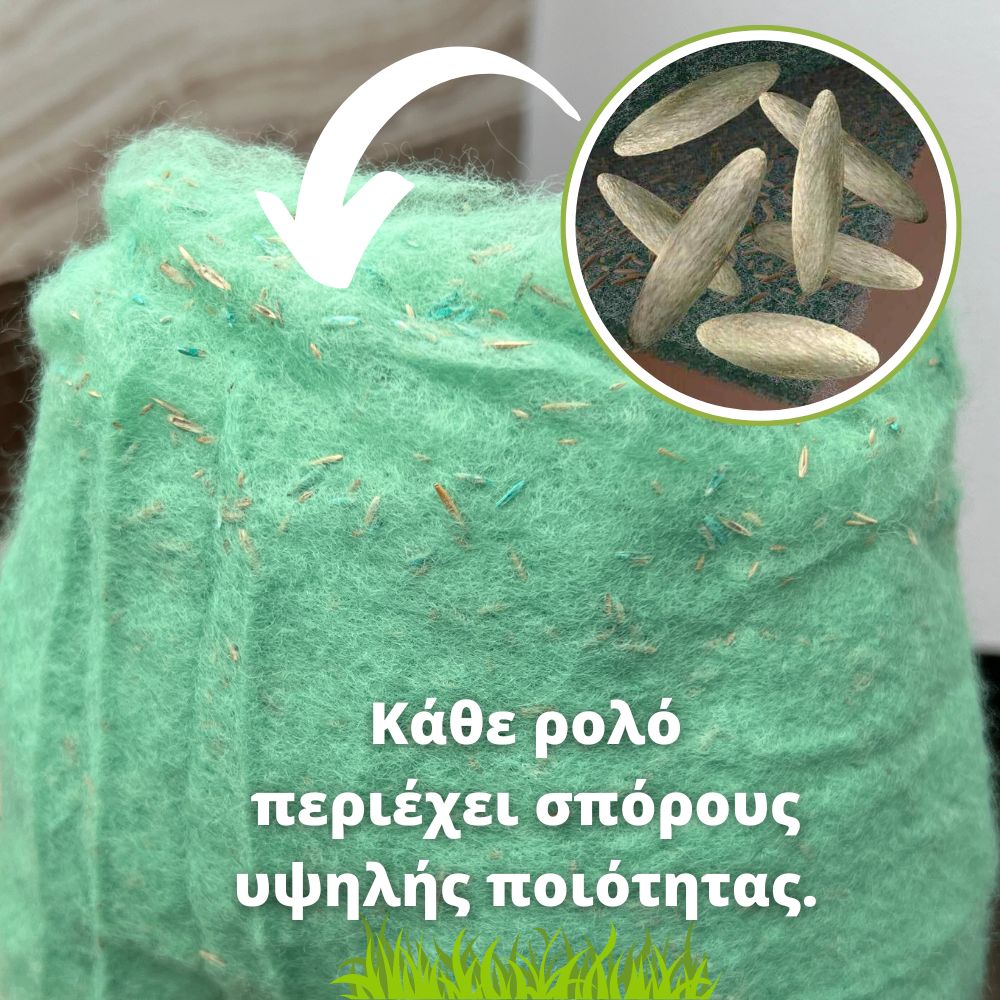 Druga slika GR(1)