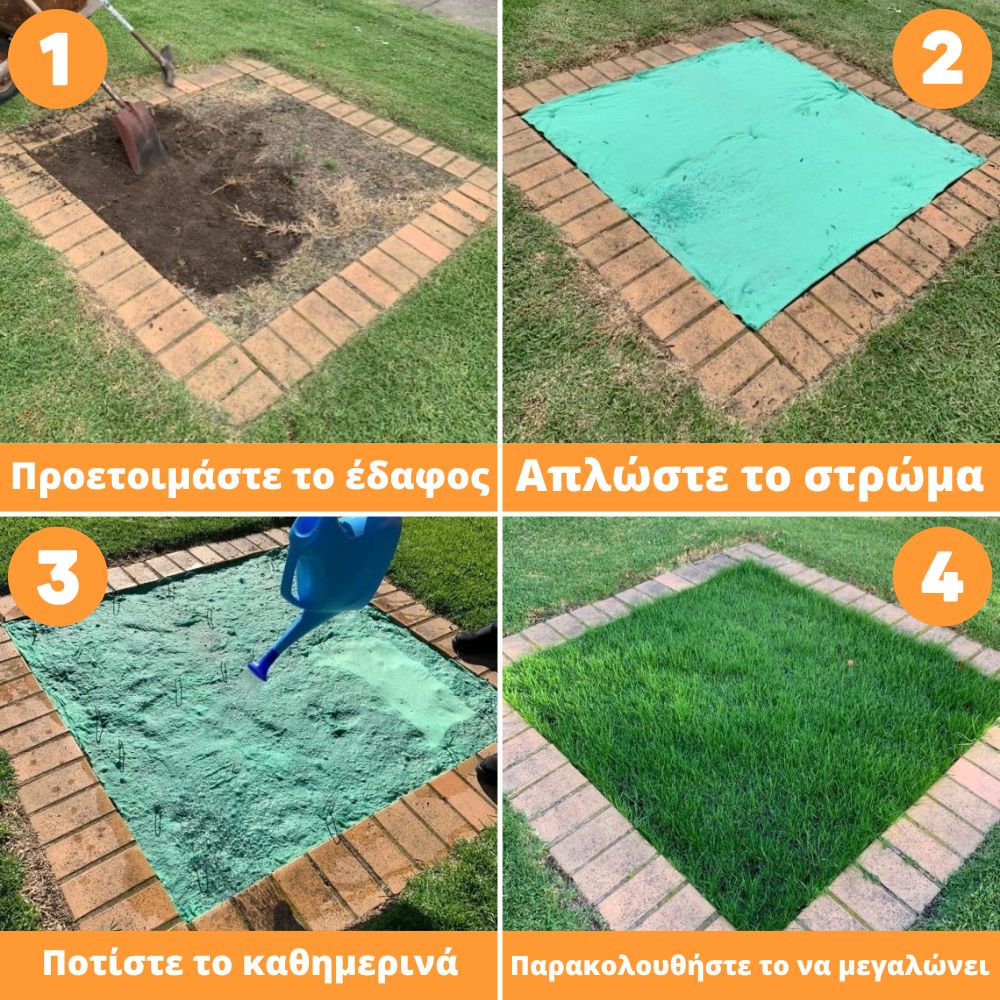 Treca slika GR