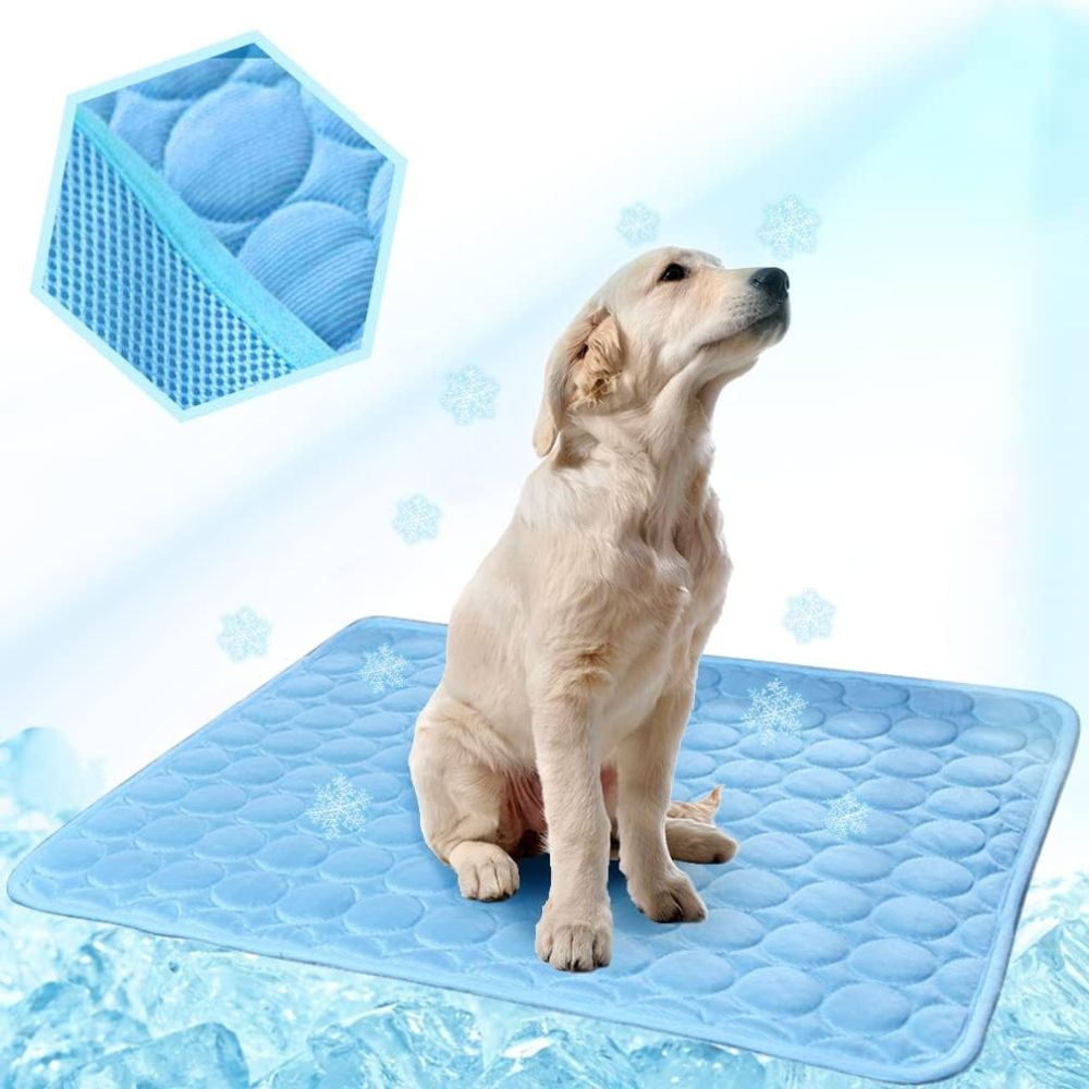 Dog mat prva